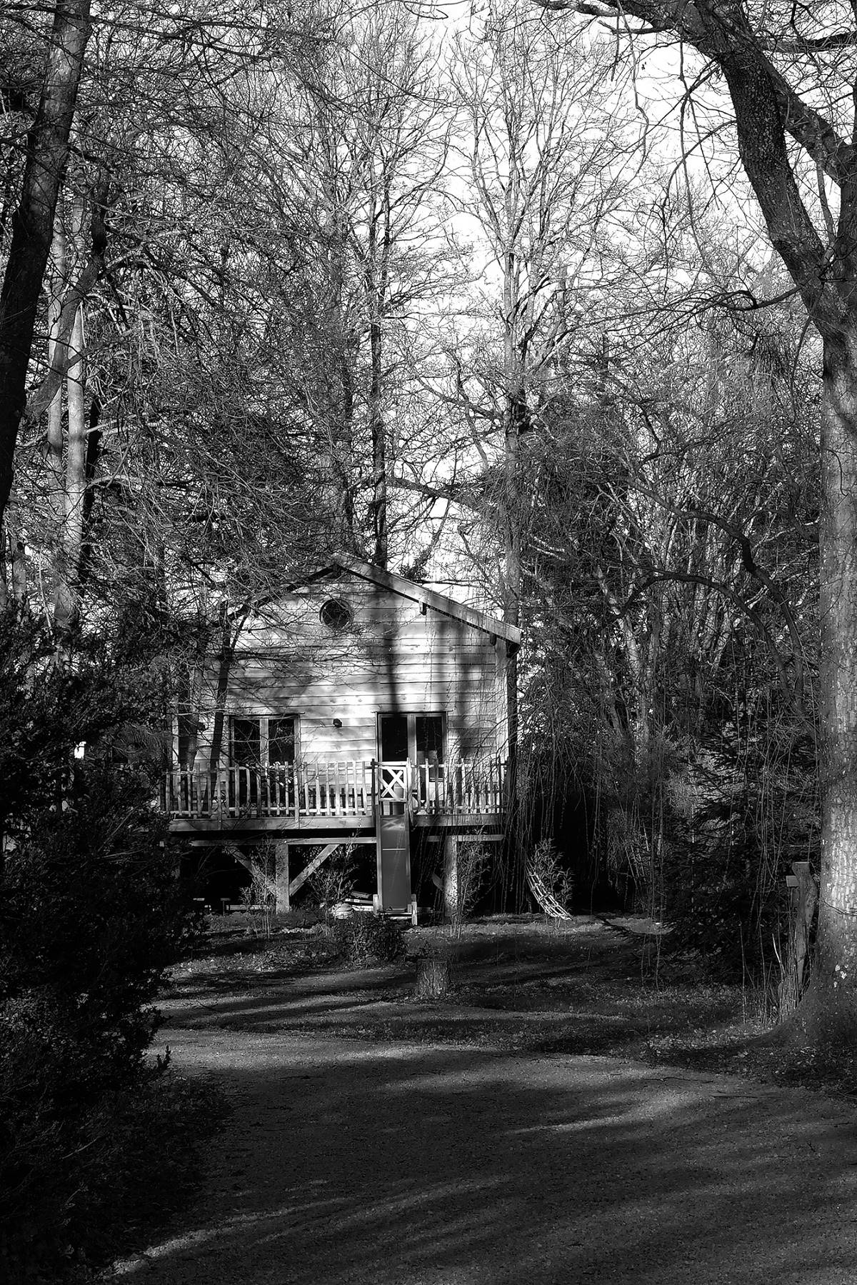 The Fun-nest cabin black and white alley